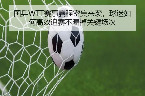 国乒WTT赛事赛程密集来袭，球迷如何高效追赛不漏掉关键场次